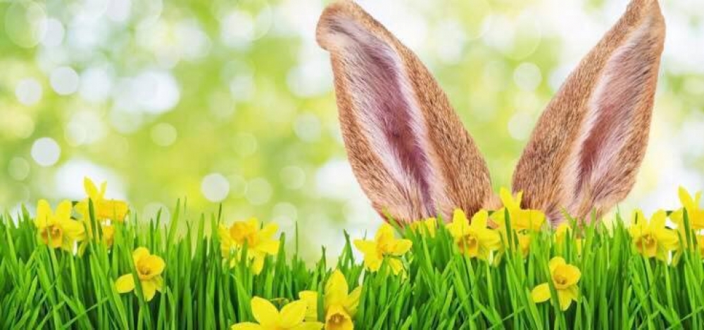 Generic placeholder image