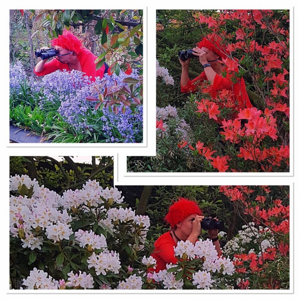 Generic placeholder image