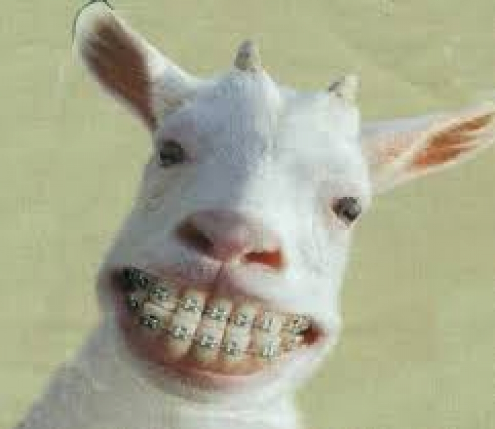 Generic placeholder image