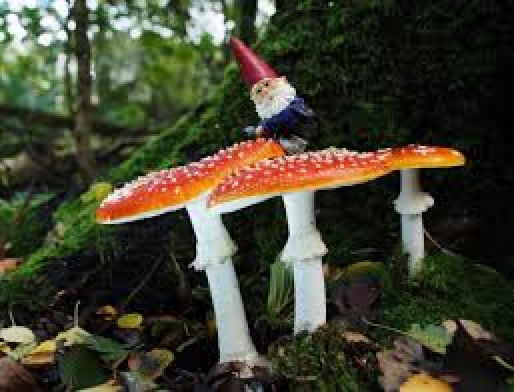 Generic placeholder image