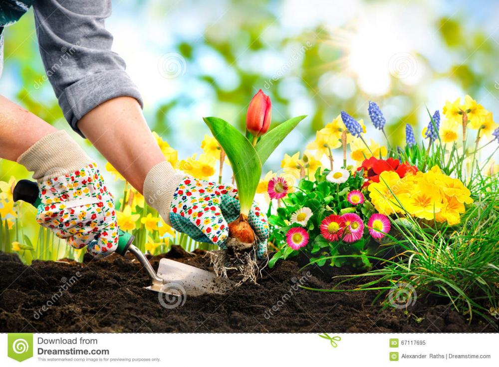 Generic placeholder image